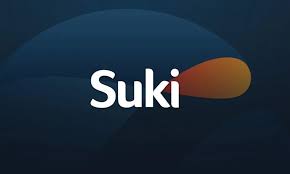 Suki.AI Medical Data